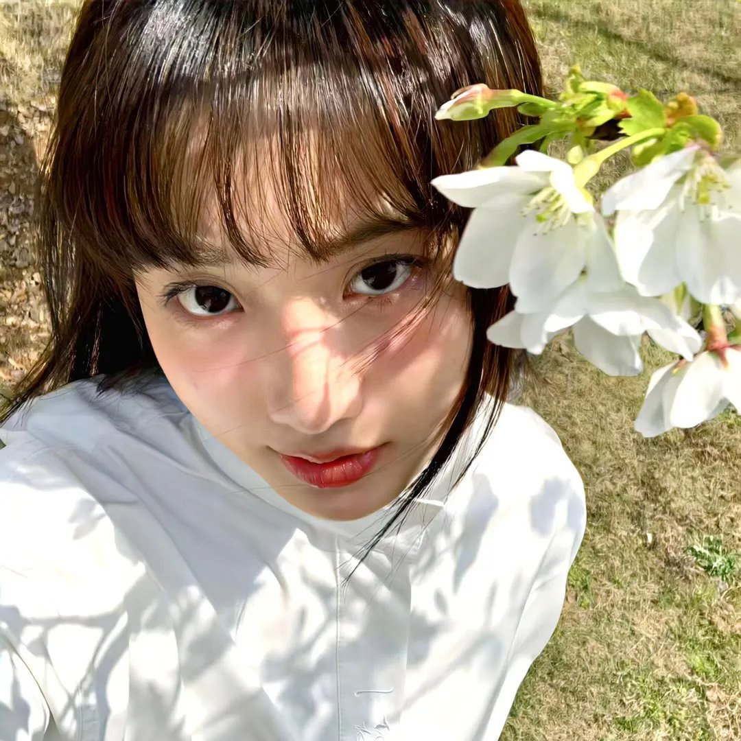 狂花梦路